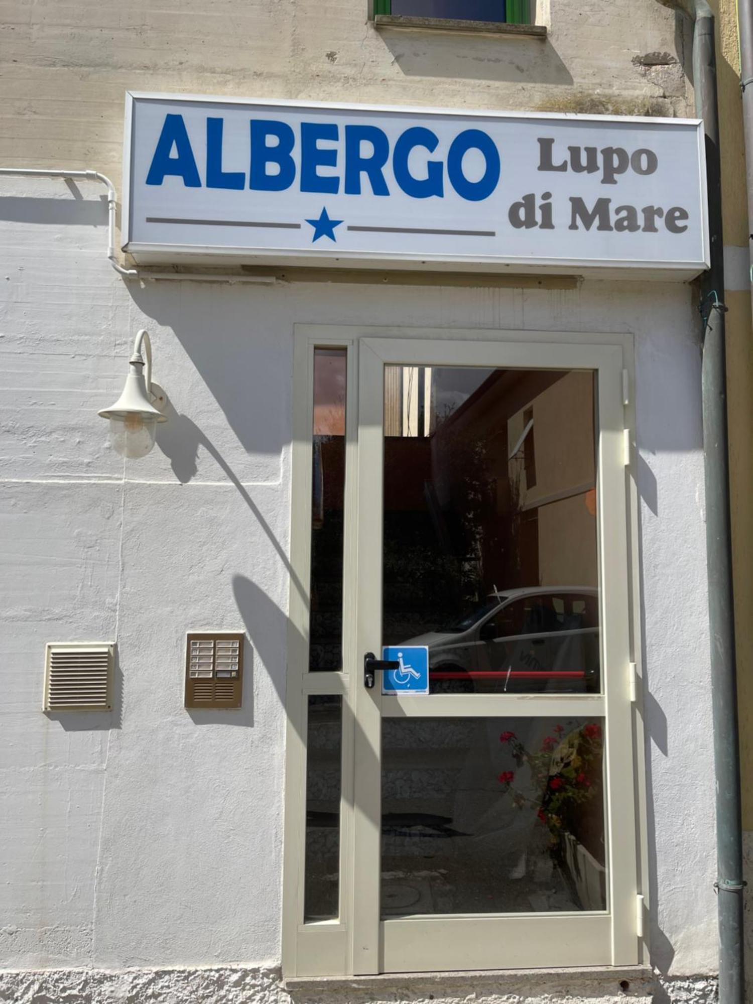 Hotel Lupo Di Mare Marina di Castagneto Carducci Extérieur photo